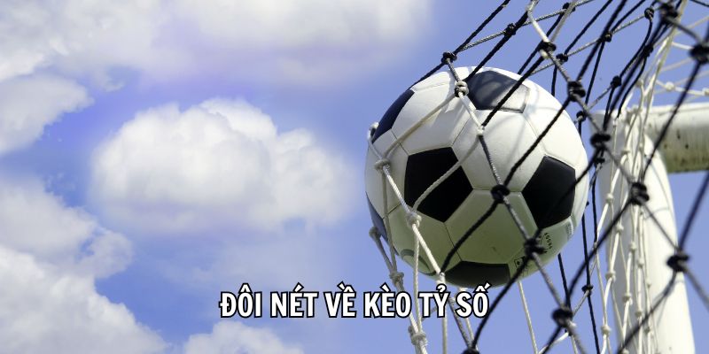 Dịch vụ cá cược thể thao WW88