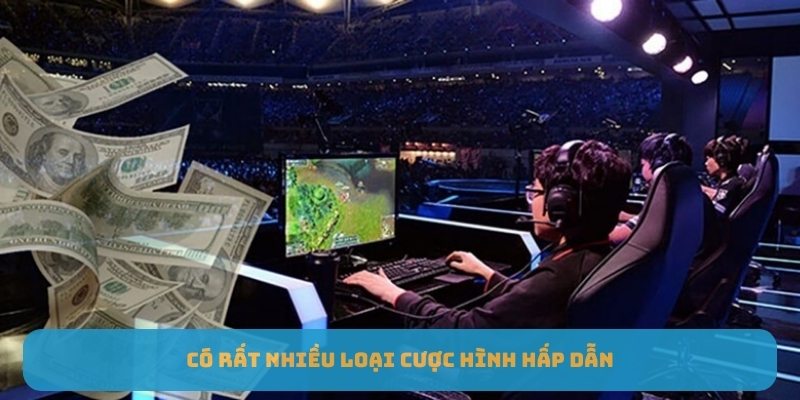 cộng đồng Esports tại WW88 