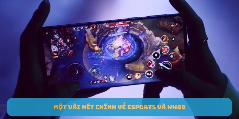 Một vài nét chính về Esports 