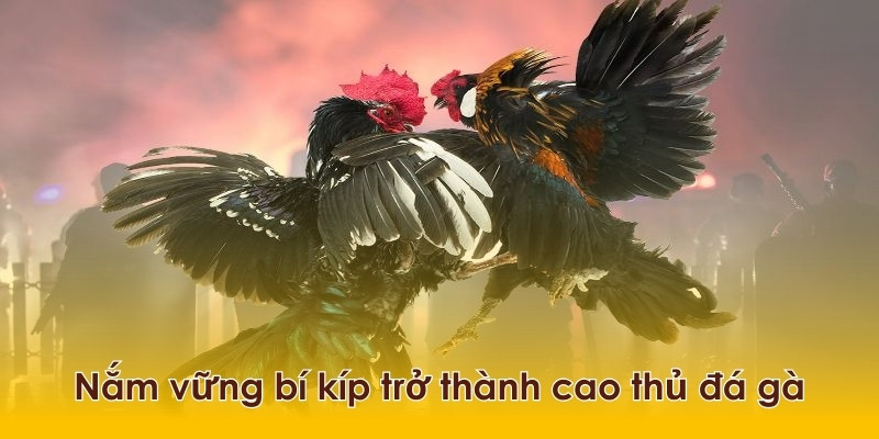 Tìm hiểu và nắm vững bí kíp để đưa ra những lựa chọn cá cược bách chiến bách thắng