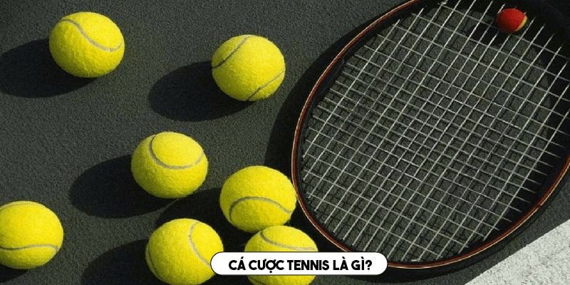 Đôi nét về cá cược Tennis dành cho newbie